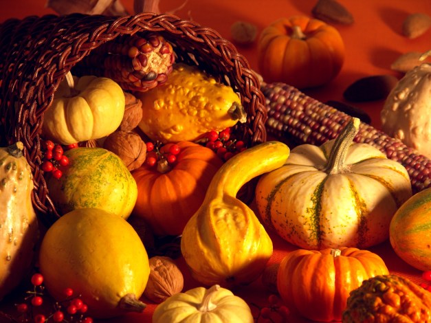 thanksgiving-scene-decoration