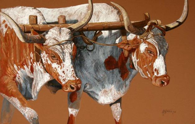 Inspanned Georgina Winch