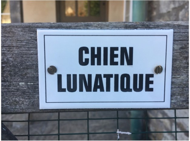 chien lunatique