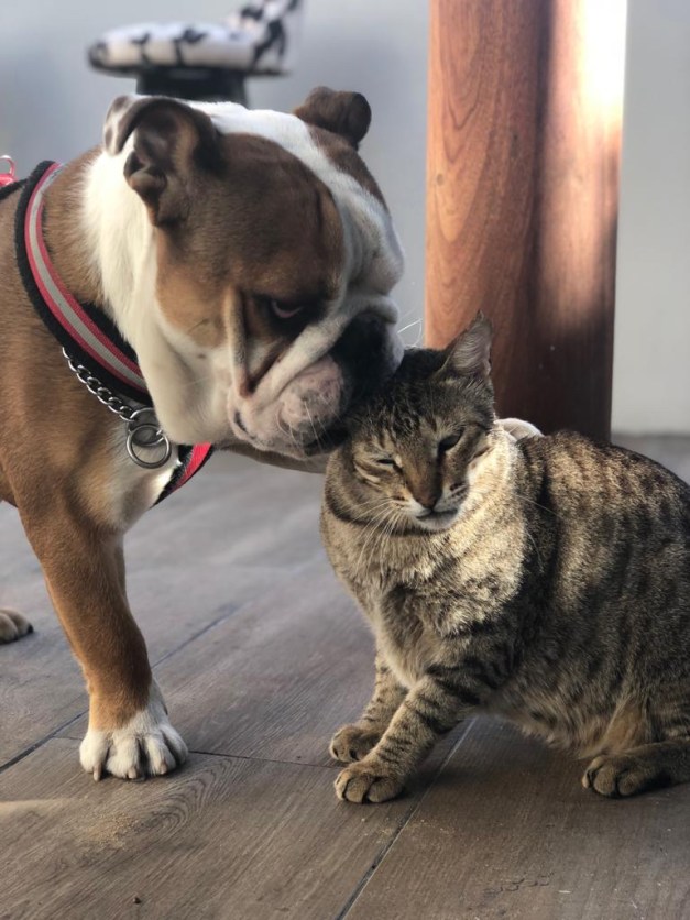 32a35004-a5a3-4180-8d90-9dd714ef2448